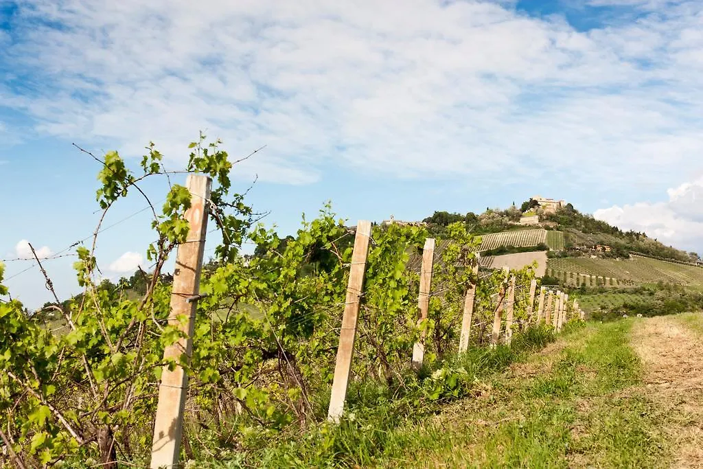 Tenuta Diavoletto Hotell Bertinoro 0*,  Italien
