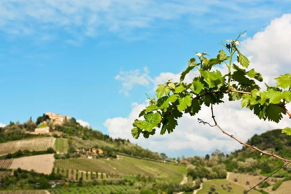 Tenuta Diavoletto Hotel Bertinoro Italia