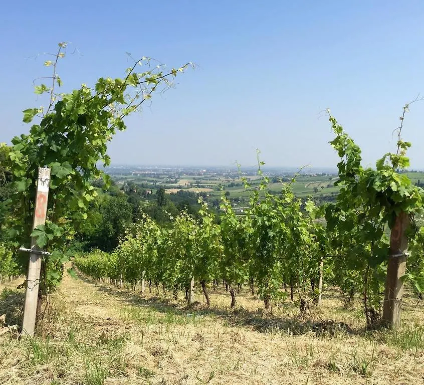 Alloggio per agriturismo Tenuta Diavoletto Hotel Bertinoro