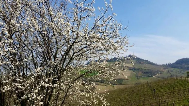 Tenuta Diavoletto Hotel Bertinoro